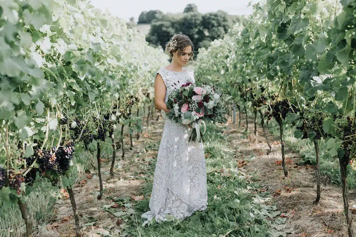 12-Bride-and-Rows-of-Grapevines.jpg