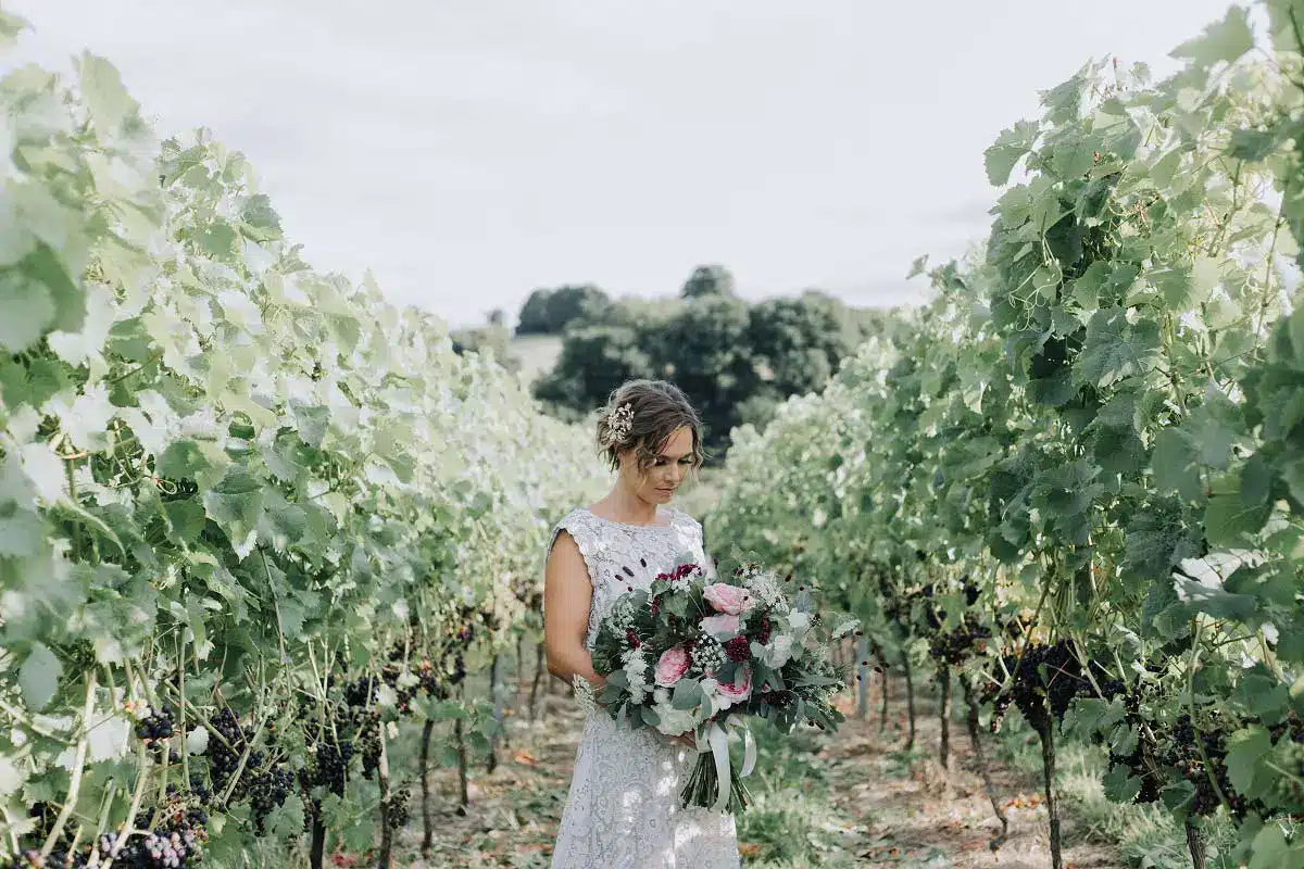 3-Bride-in-Vineyard