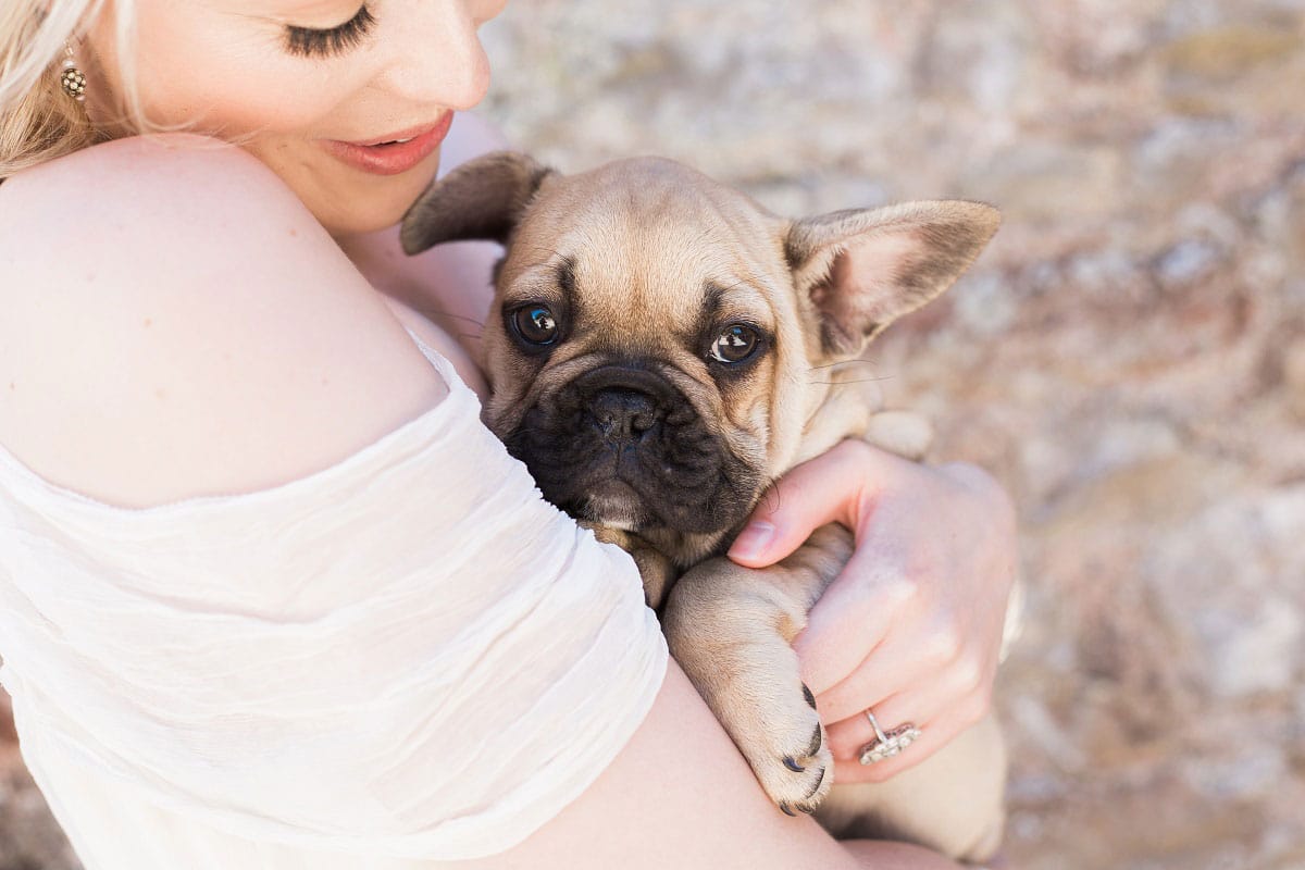 5 ways to include your dog in your wedding