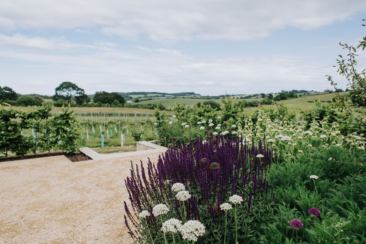 Brickhouse_vineyard_Devon-bijou_wedding_venue