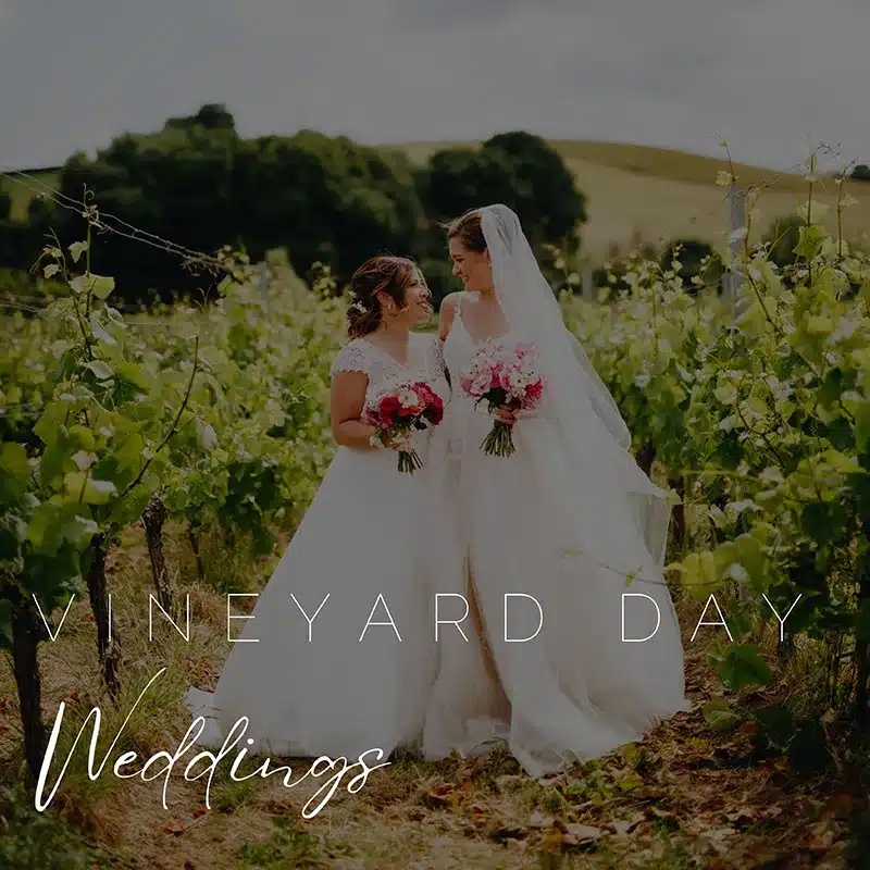 Brickhouse Vineyard Day Wedding Brickhouse Vineyard Day Wedding