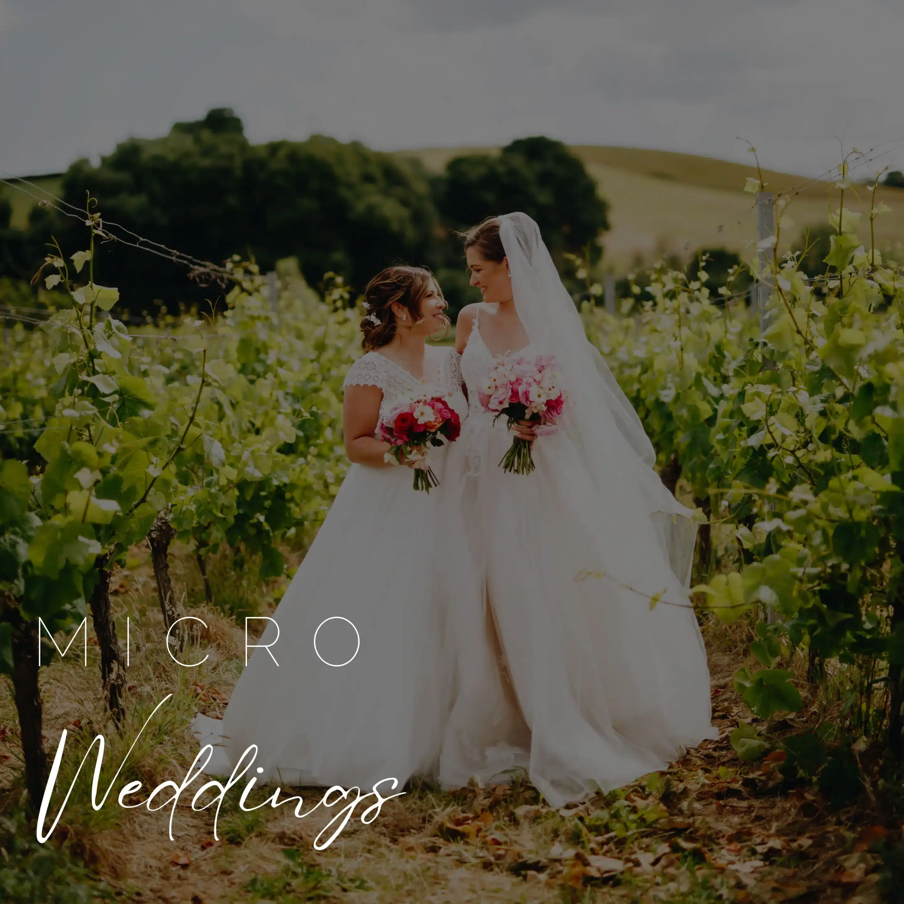Brickhouse Vineyard Micro Weddings Brickhouse Vineyard Micro Weddings